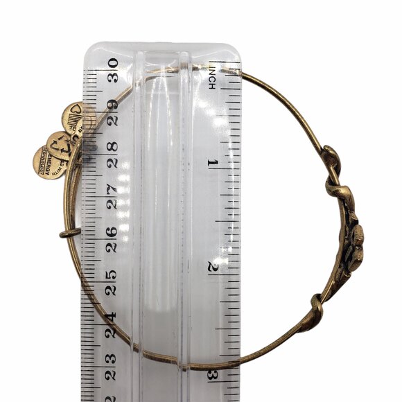 Alex and Ani Endless Knot Brass Bangle Bracelet - Picture 7 of 7